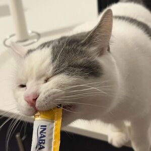 Meet your Posher, Le xi